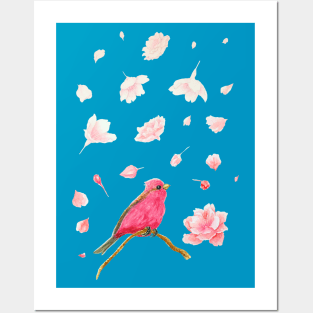 Cherry Blossom and Rose Finch Posters and Art